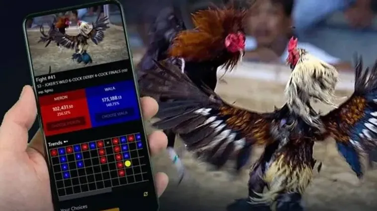 Sân Chơi Đá Gà GD365 Đỉnh Cao Kịch Tính Nhận Thưởng Tiền Tỷ